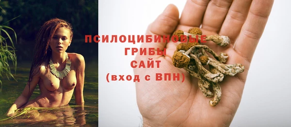 ALPHA-PVP Арсеньев