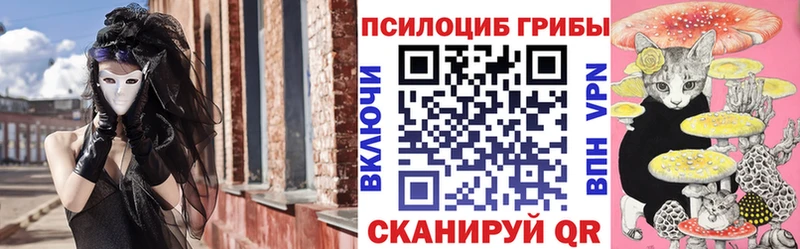 Псилоцибиновые грибы GOLDEN TEACHER  Череповец 