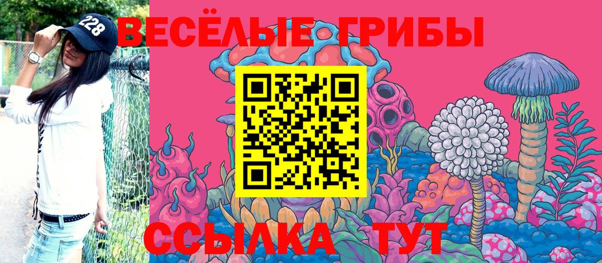Псилоцибиновые грибы Psilocybe  Вход с VPN  Череповец 