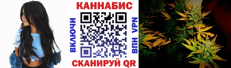 Конопля Amnesia  Череповец 